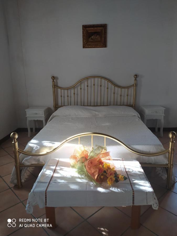 Bed and Breakfast La Rosa Selvatica Ravarino Екстер'єр фото