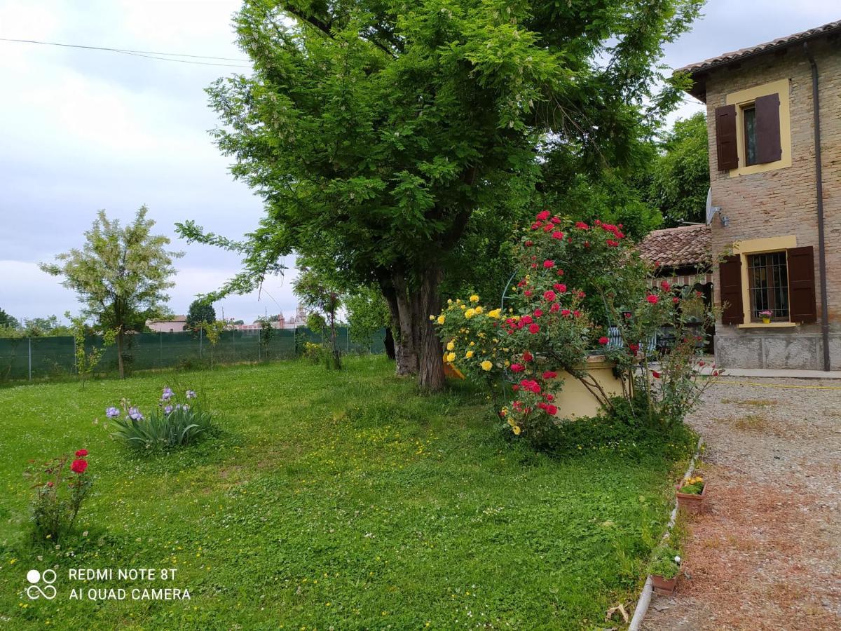 Bed and Breakfast La Rosa Selvatica Ravarino Екстер'єр фото