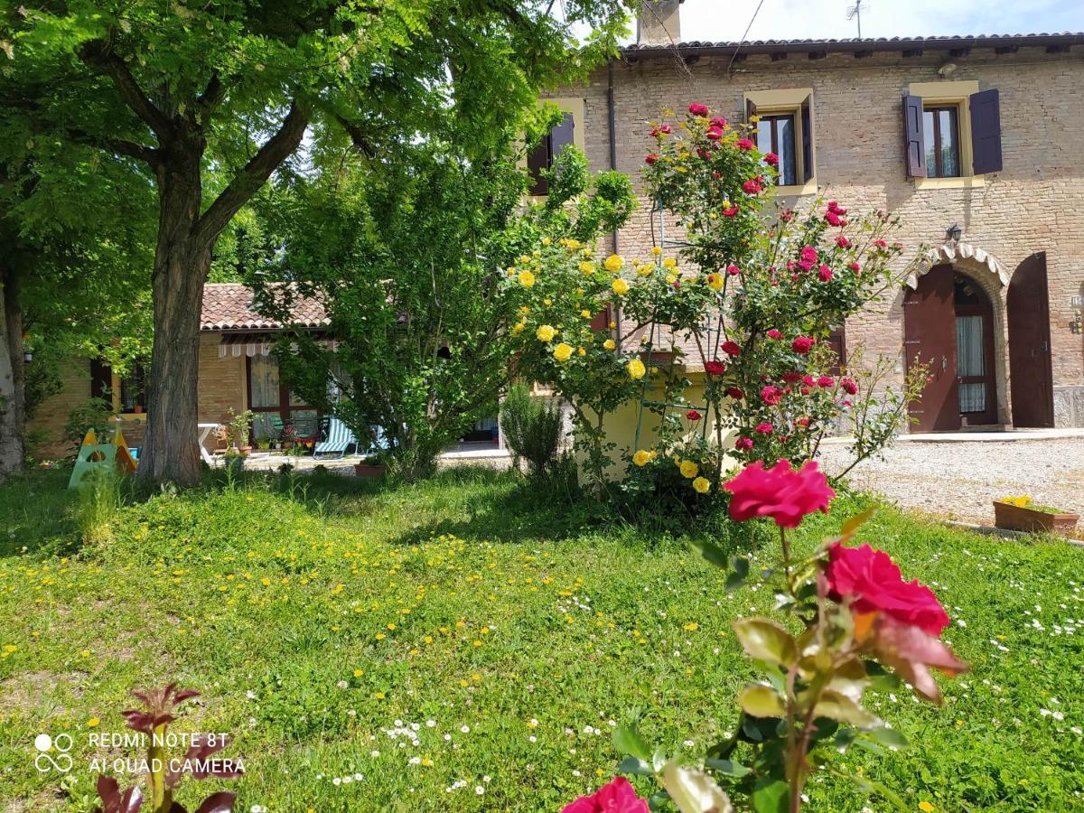 Bed and Breakfast La Rosa Selvatica Ravarino Екстер'єр фото