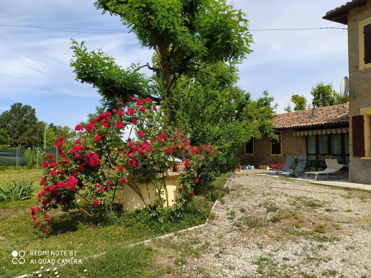 Bed and Breakfast La Rosa Selvatica Ravarino Екстер'єр фото